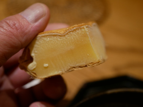 P1560761