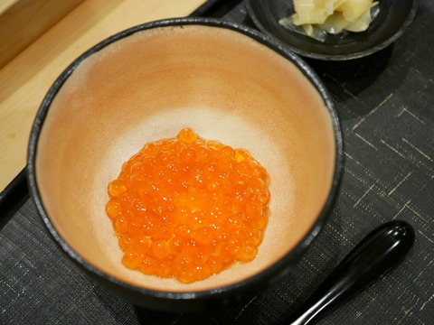P1620225