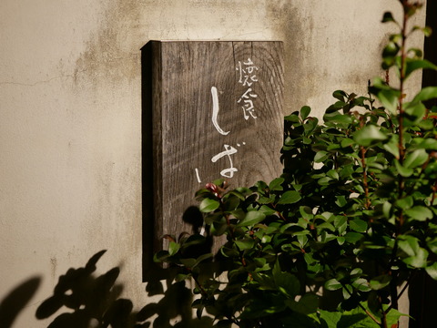 P1560632