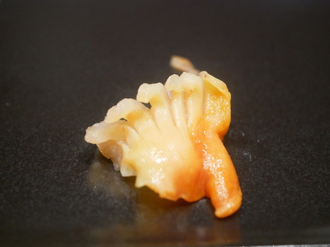 P1530837
