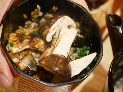 P1520469