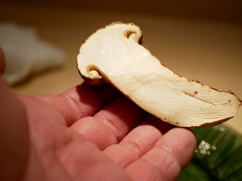 P1070229
