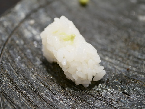 P1030149