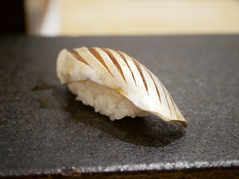 P1620209