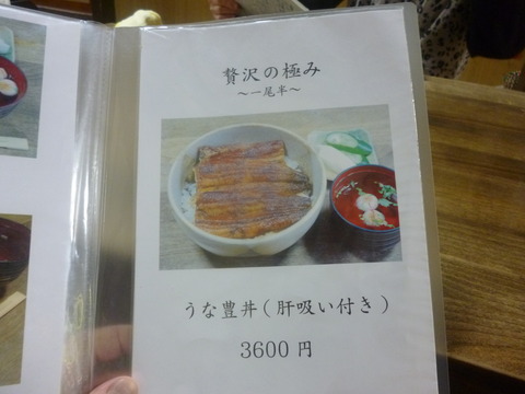 P1100801