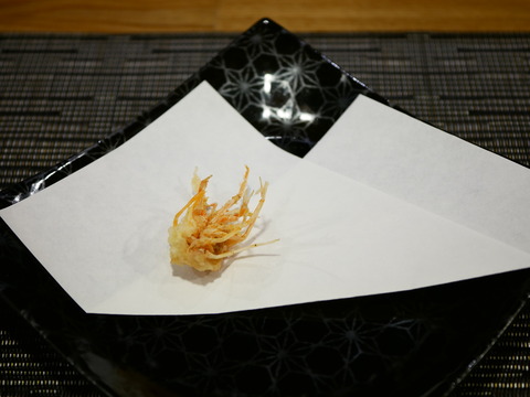 P1760660