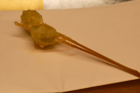 P1120210
