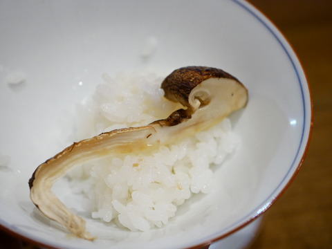 P1590065
