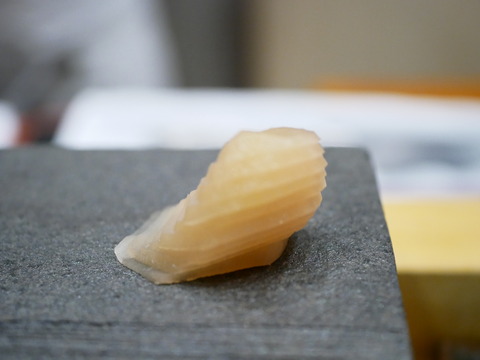 P1660392