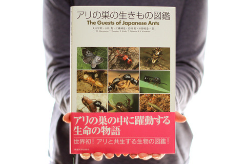 アリの巣の生きもの図鑑」完成！ : ありんこ日記 AntRoom