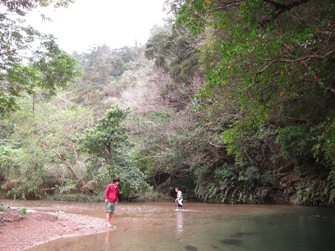 �����õ��