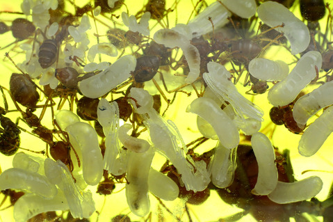 �ĥ८����λ�ɻ���