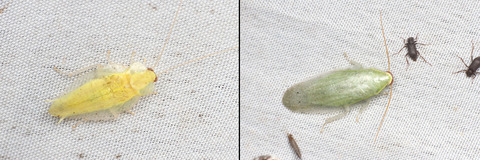 �����֥ꡡ�ڥ롼