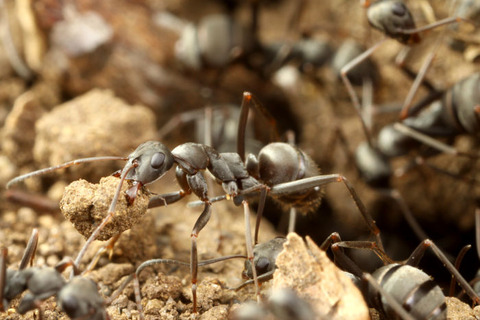 ������ޥ���