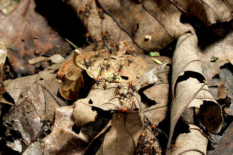 ���󥿥�����