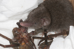 �勵�����ͥ���