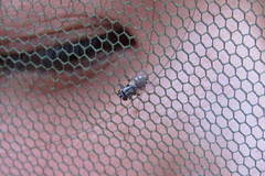 �ϥ���¿��