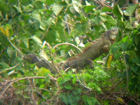 �г���Υ�������