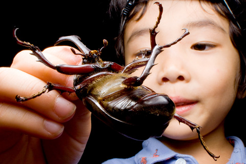 HID��Ȥäƥ饤�ȥȥ�å�