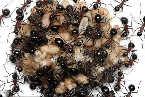 �ȥ����������