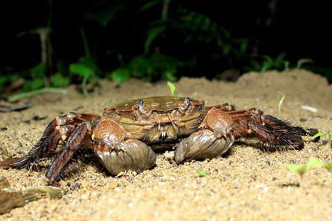 �⥯������