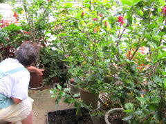 �ɤΤ��줵��