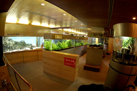 板橋区立 熱帯環境植物館 (3)