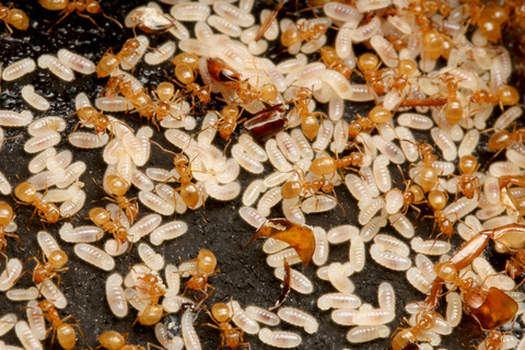 ����1ǯ7�����ܤΥ��ᥤ��������