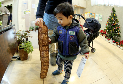 板橋区立 熱帯環境植物館 (2)
