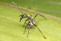 �����ȥ�����