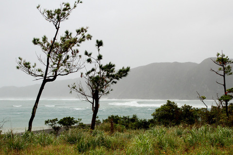 �����ܶ���