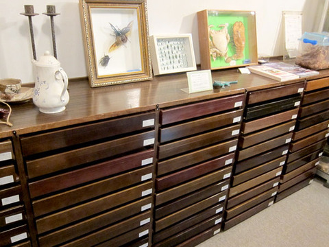 ペンション ファーブル