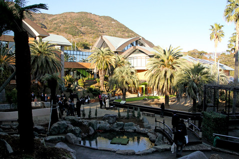 �������ᡡiZOO