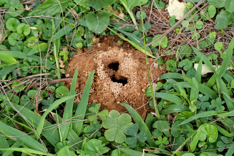 �ȥ������ϥꥢ�����