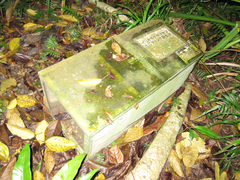 ��ޥͥ�Ĵ��