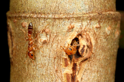 ������������