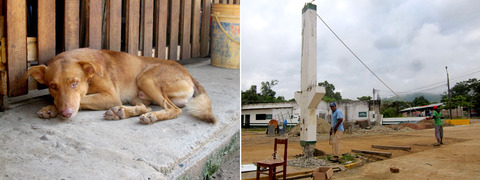 ����¿��