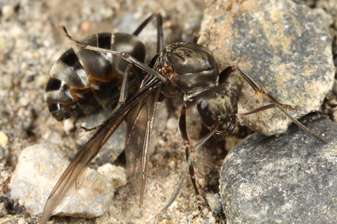 ������ޥ���ν���