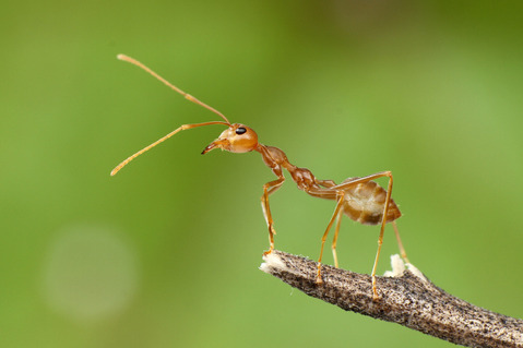 �ĥ८����λ�ɻ���