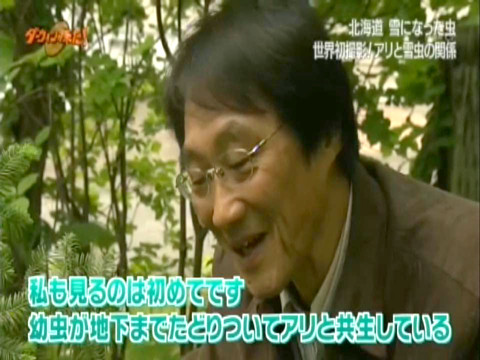 ÀãÃî¤Î°ìÀ¸