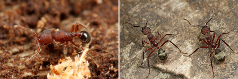 ���異�ꡡ��������