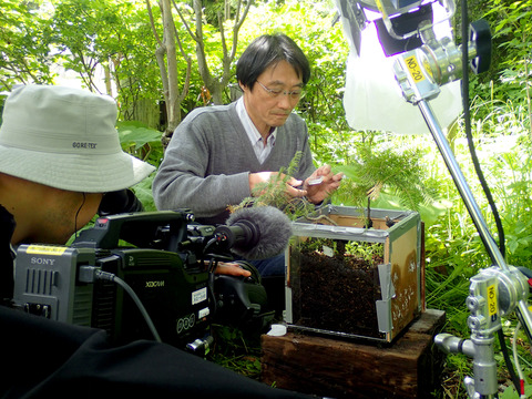 ÀãÃî¤Î°ìÀ¸