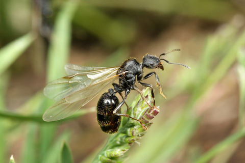 �����ʥ�����