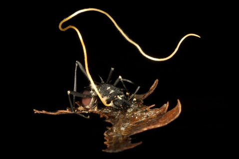 �ȥ�������������