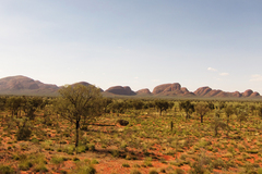 �������ȥ�ꥢ�κ���