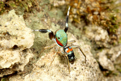 ���饪�ӥϥ��ȥ�