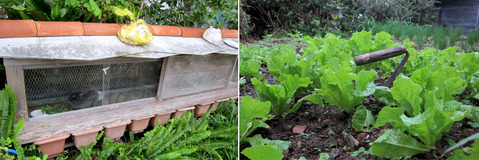 ¥ä¥ó¥Ð¥ë¥¯¥¤¥ÊÁñ¥¦¥µ¥®¾®²°