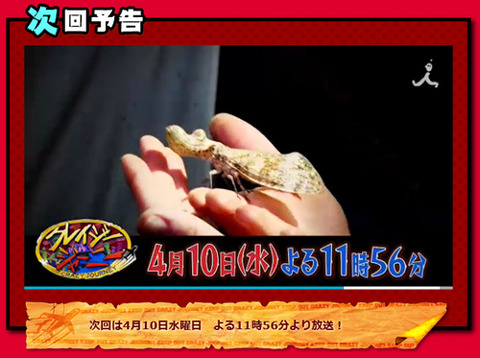 クレイジージャーニー 蟻