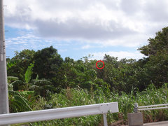 �г���Υ�������