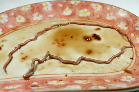 ブリ糸状虫